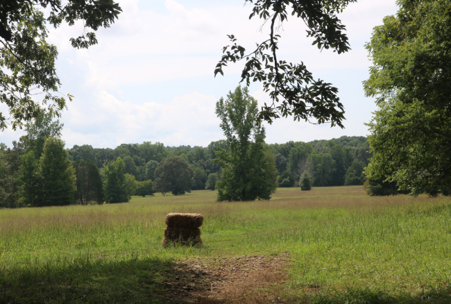 Old Stone Fort State Park 