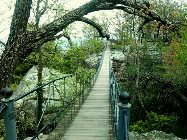 Swinging Bridge Rock City Gardens
