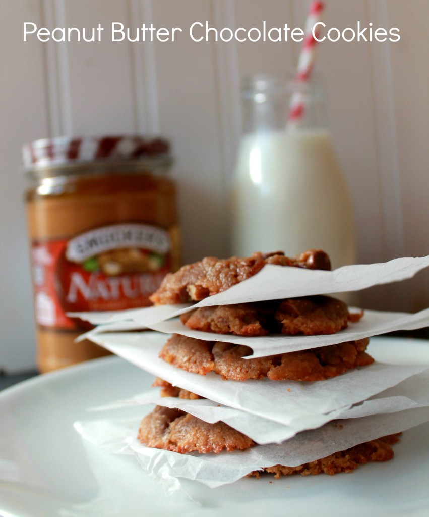 Peanut Butter Chocolate Cookies