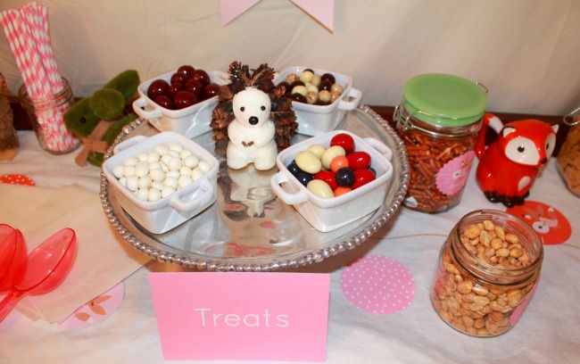 Rustic Themed Trail Mix Bar, Easy Entertaining