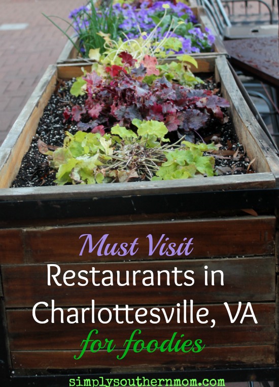 Charlottesville Must Visit Restaurants