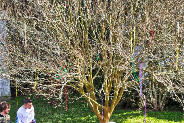 Mardi Gras Bead Tree 