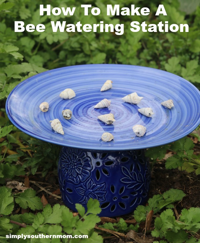 how to make a bee watering station 