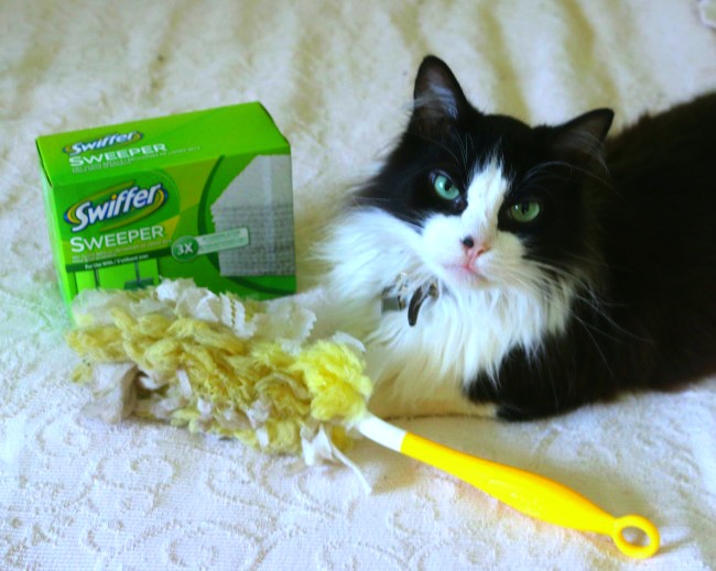 swiffer and pets 