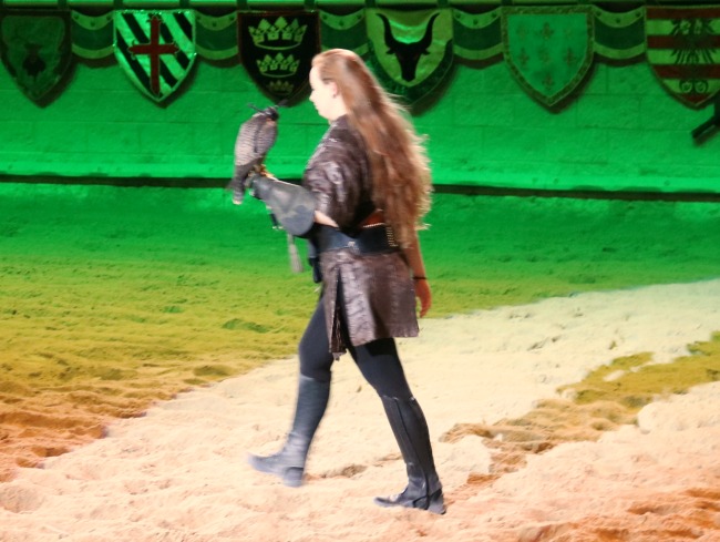 medieval times falconry 