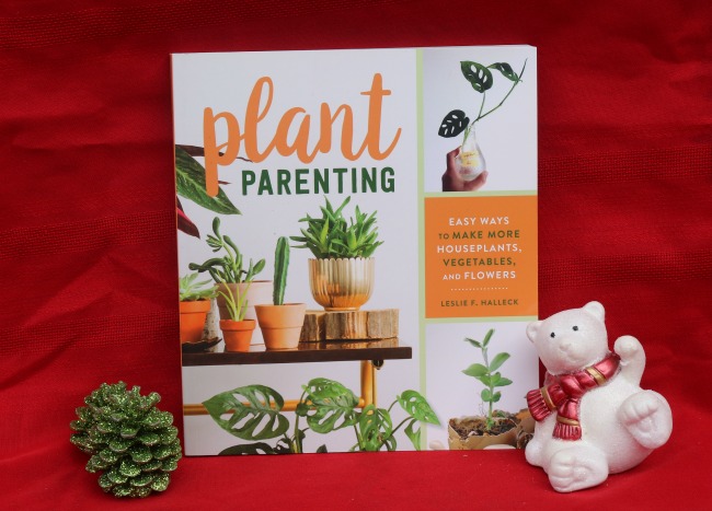 plant parenting 