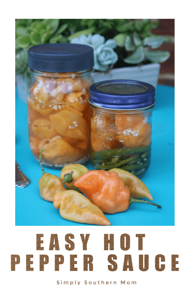 Easy Hot Pepper Sauce Recipe Simply Southern Mom